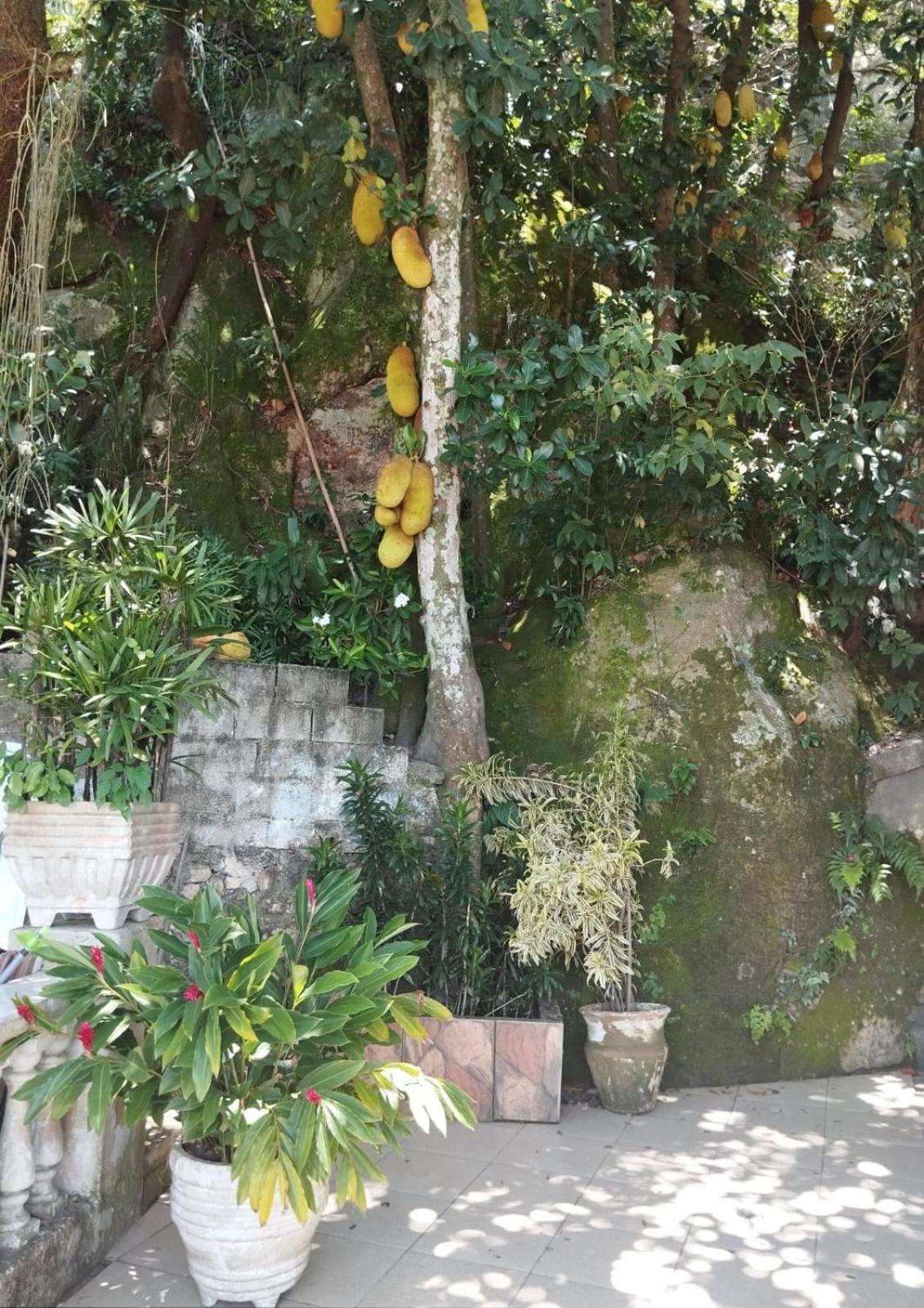 Casa Das Luzes Hostel Ivn 里约热内卢 外观 照片